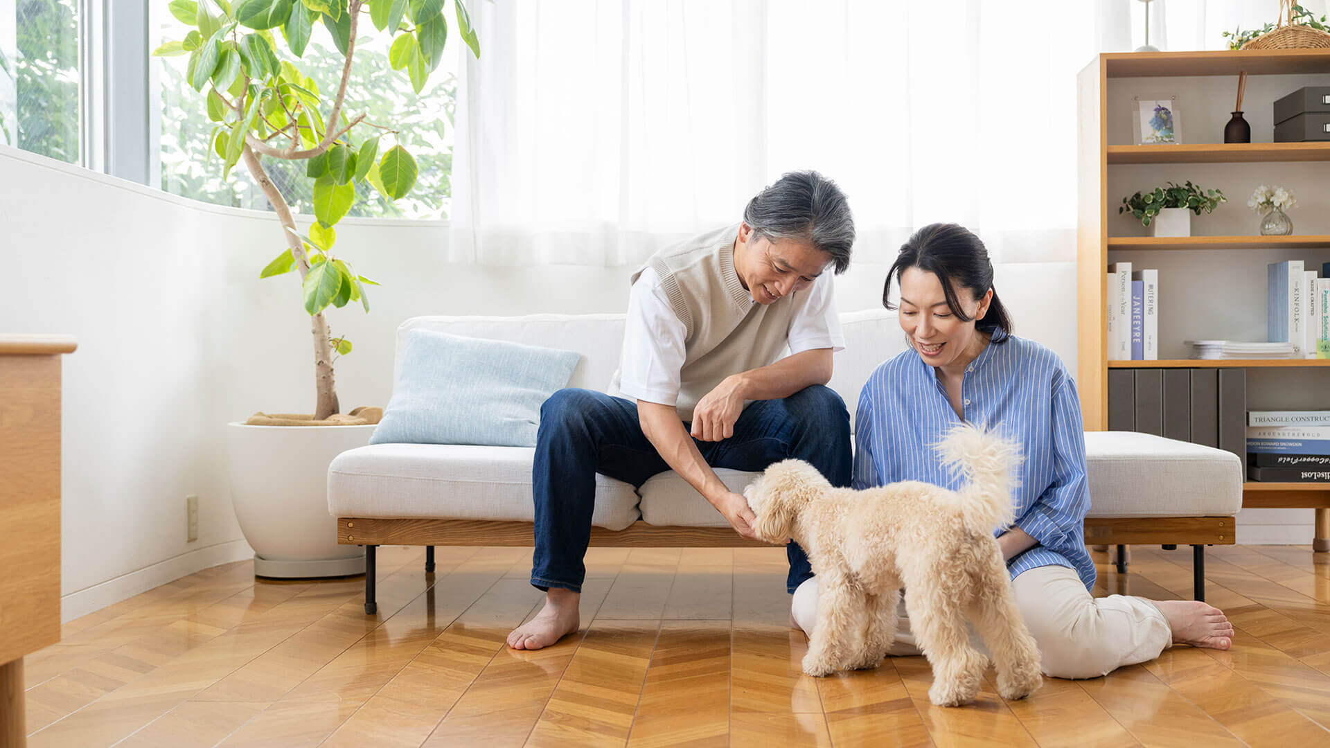 Older man and woman sit on a white sofa in a bright living room, warmly greeting a fluffy beige dog.